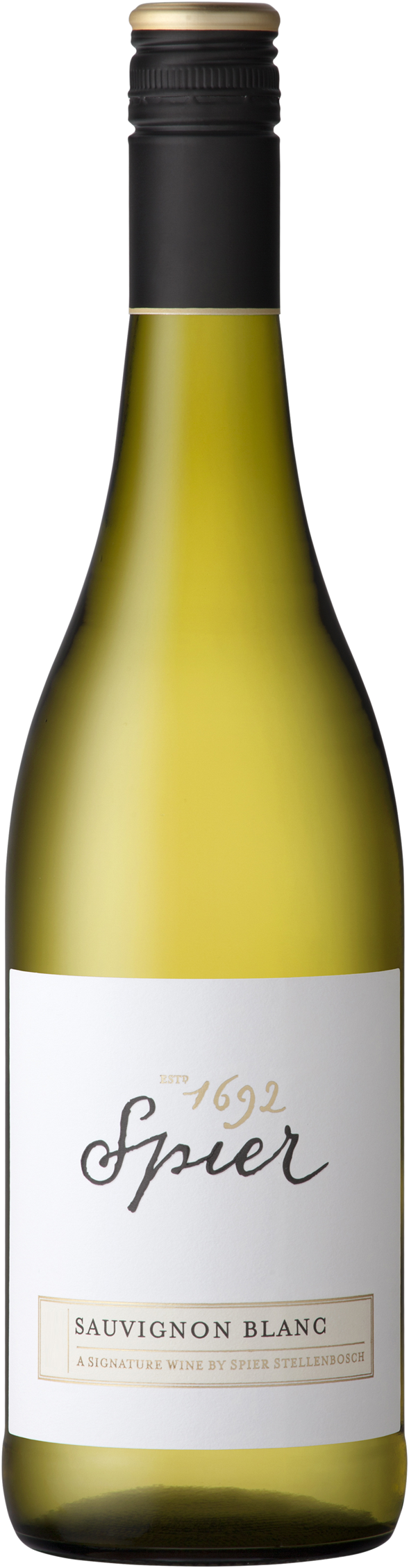 Spier Signature - Sauvignon Blanc 6 flasker