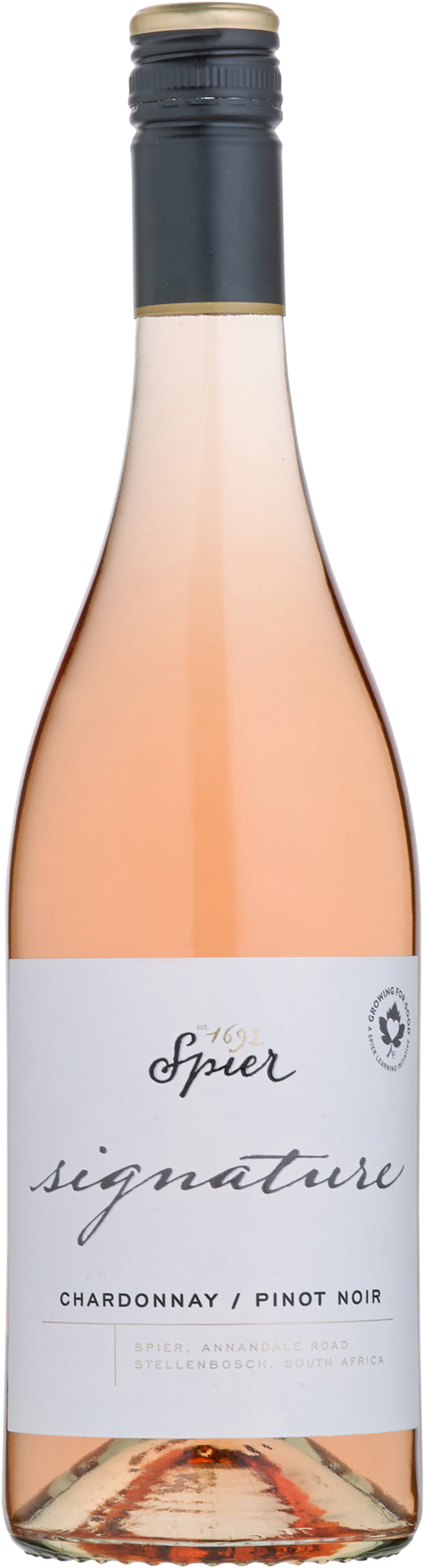 Spier Signature - Rose 6 flasker
